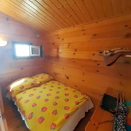 Letniskowe U Janka Lodge
